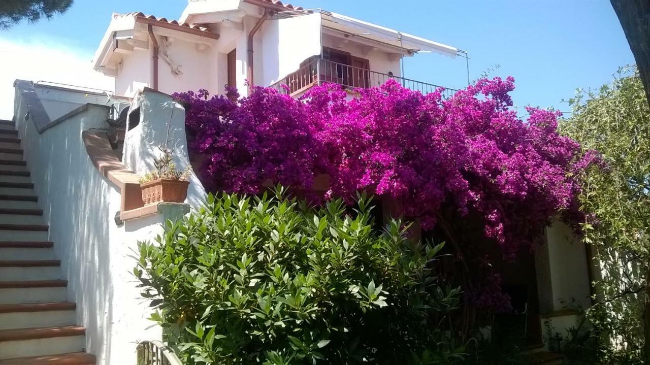 B&B Vacanza Facile Costa Rei Exteriér fotografie