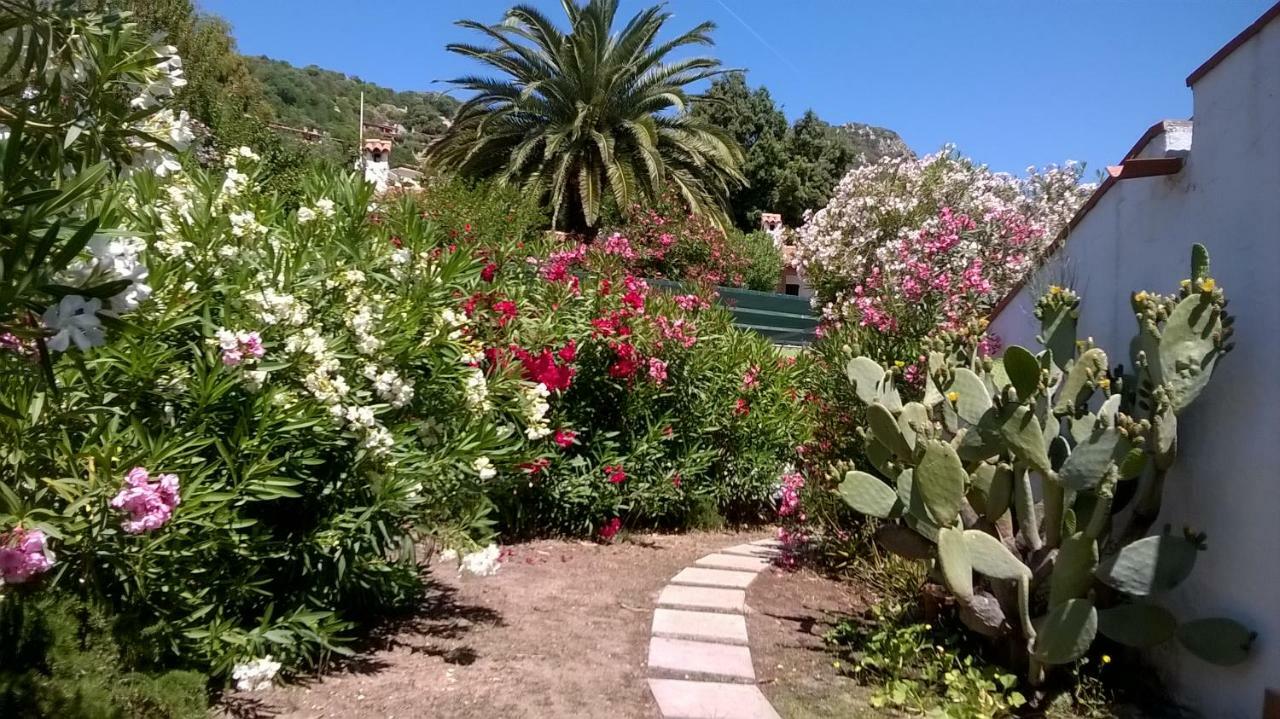 B&B Vacanza Facile Costa Rei Exteriér fotografie